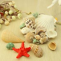 wedding dcor nice ocean shell decoration