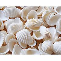 wedding dcor beach themed seashell shower table decorations pack of 90