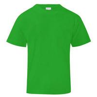 Werder Bremen Subbuteo T-Shirt