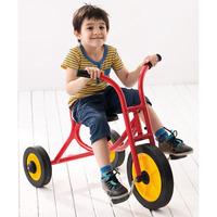 Weplay Trike, Large