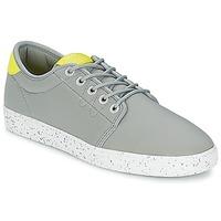 Wesc OFF DECK men\'s Shoes (Trainers) in grey