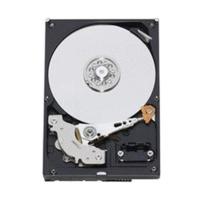 Western Digital AV-GP 500GB (WD5000AVDS)