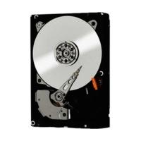 Western Digital RE4 SATA II 500GB (WD5003ABYX)