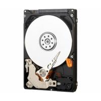 Western Digital AV-25 SATA 320GB (WD3200BUCT)