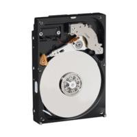 Western Digital Caviar AV 320GB (WD3200AVJS)