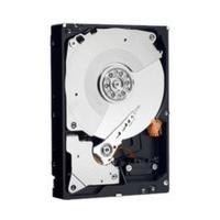 Western Digital RE4 SATA II 1TB (WD1003FBYX)