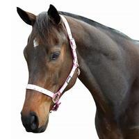 Weatherbeeta Ribbon Headcollar