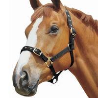 Weatherbeeta Padded Jersey Headcollar