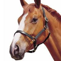 Weatherbeeta Stitched Headcollar