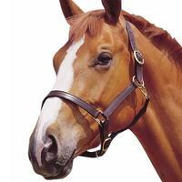 Weatherbeeta Stitched Headcollar