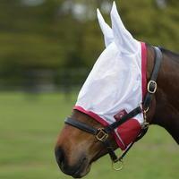 Weatherbeeta Genero Mesh Fly Mask