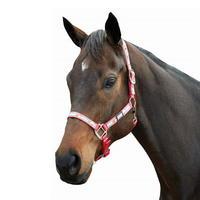 Weatherbeeta Reflective Ribbon Headcollar
