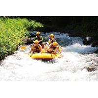 White Water Rafting and Coffee Plantation Tour in Bali