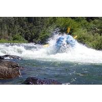 Whitewater Rafting 1 Day Trip South Fork American River - Gorge Run