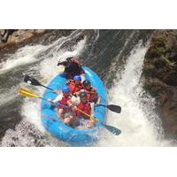 White Water Rafting Adventure in the Tenorio River from Tamarindo