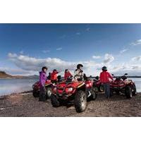 Whale Watching Cruise and Quad Bike Adventure from Reykjavik
