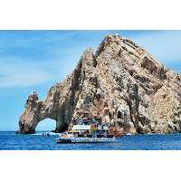 Whale Watching Cruise on the Sea of Cortez