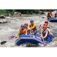 Whitewater Rafting with Elephant Trekking from Phuket