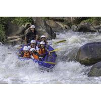 Whitewater Rafting Adventure in Chiang Mai