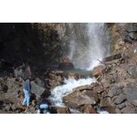 White Pass Deluxe Tour from Skagway