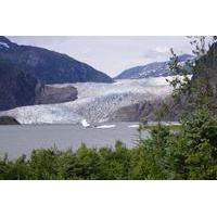 whale watching brewery tour and mendenhall glacier