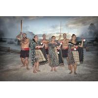 Whakarewarewa, The Living Maori Village Guided Tour with Optional Hangi Meal