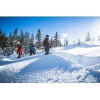 whistler snowshoeing adventure with optional peak 2 peak ticket