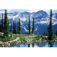 Whistler Mountains and Adventures Tour Including Admission to Scandinave Spa
