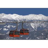 Whistler Day Tour Including Peak 2 Peak Gondola Admission