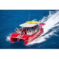 Whitsundays Full-Day Cruise by High-Speed Catamaran