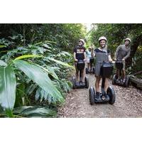 whitsunday segway rainforest discovery tour