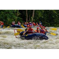 White Water Rafting on the Pigeon River