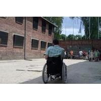 Wheelchair Accessible Tour to the Auschwitz - Birkenau Museum from O?wi?cim