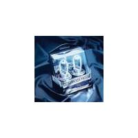 White Laser Light Halogen Lamps Westfalia