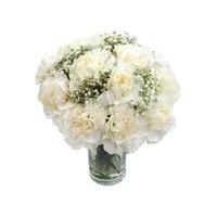 White Carnations