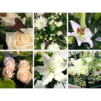White Flower Collection