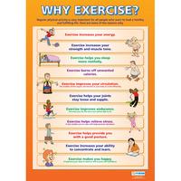 Why Exercise? Wall Chart Poster