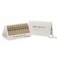 White and Silver Just Married Seed Favours Packet