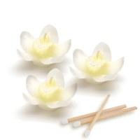 white orchid candles mini