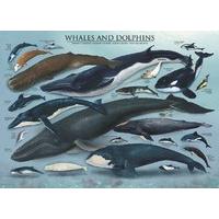 Whales & Dolphins 1000pc Jigsaw Puzzle