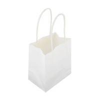 White Ready to Decorate Small Gift Bags 5 Pack