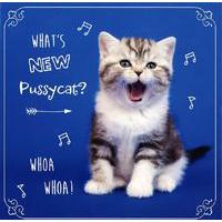 What\'s new pussycat blank card