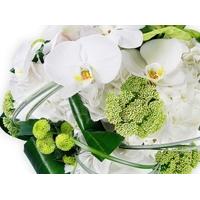 White and Green Elegance