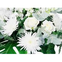 White Flowers in an Oasis Dish