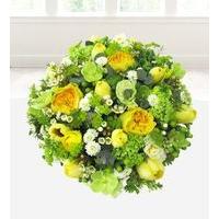 White and Yellow Posy