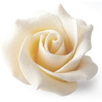 White chocolate roses - Box of 15 White Chocolate Roses