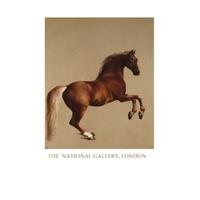 Whistlejacket By George Stubbs