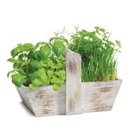 Whitewashed Wood Trug with 6 Large Herb Plants + Free 5L Compost