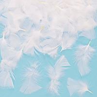 white feathers per 3 packs