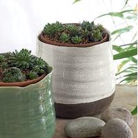 white ninomaru plant pot